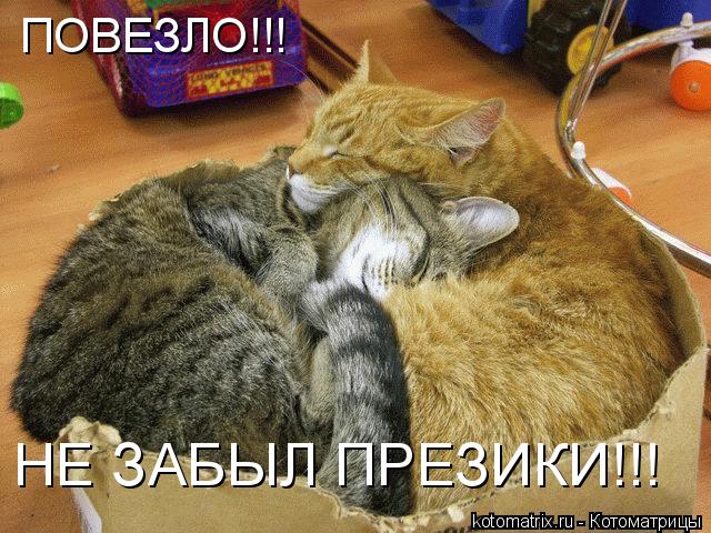 ПОВЕЗЛО!!! НЕ ЗАБЫЛ ПРЕЗИКИ!!!... Котоматрица: ПОВЕЗЛО!!! НЕ ЗАБЫЛ ПРЕЗИКИ!!!