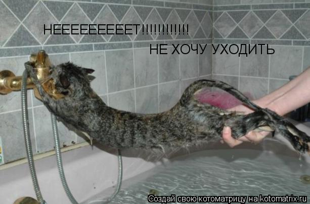 НЕЕЕЕЕЕЕЕЕТ!!!!!!!!!!!! НЕ ХОЧУ УХОДИТЬ... Котоматрица: НЕЕЕЕЕЕЕЕЕТ!!!!!!!!!!!! НЕ ХОЧУ УХОДИТЬ