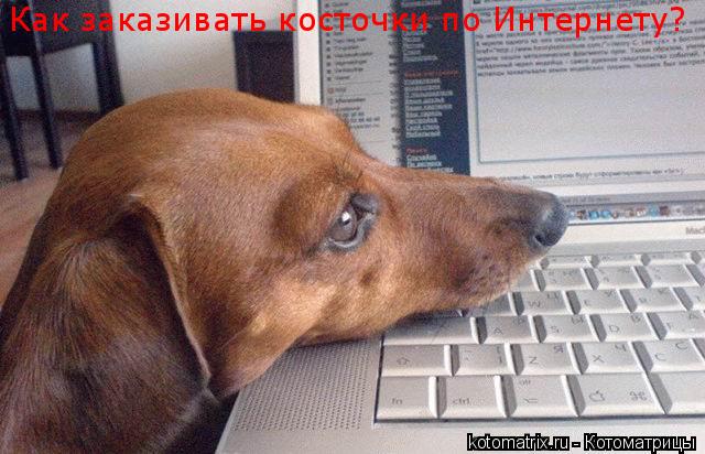 Как заказивать косточки по Интернету?... Котоматрица: Как заказивать косточки по Интернету?