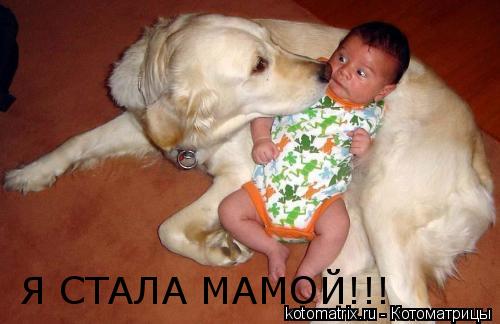 Я СТАЛА МАМОЙ!!!... Котоматрица: Я СТАЛА МАМОЙ!!!