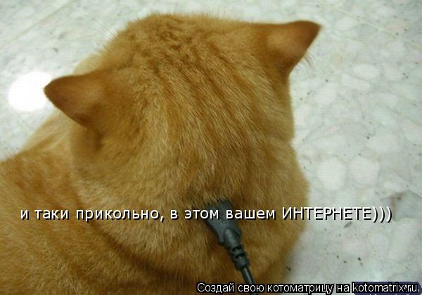 и таки прикольно, в этом вашем ИНТЕРНЕТЕ)))... Котоматрица: и таки прикольно, в этом вашем ИНТЕРНЕТЕ)))