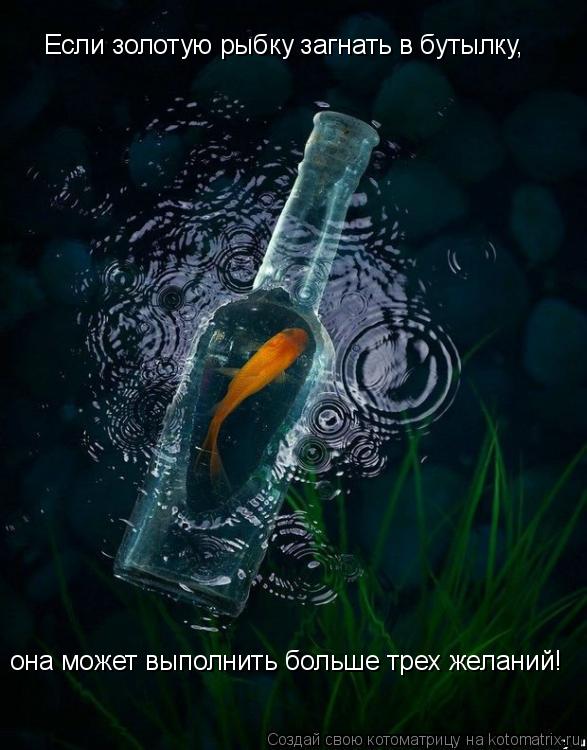 Если золотую рыбку загнать в бутылку, она может выполнить больше трех желаний!... Котоматрица: Если золотую рыбку загнать в бутылку, она может выполнить больше трех желаний!
