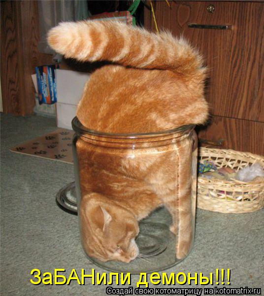 ЗаБАНили демоны!!!... Котоматрица: ЗаБАНили демоны!!!