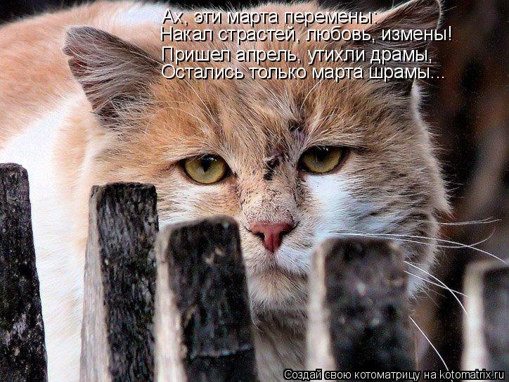 Ах, эти марта перемены: Пришел апрель, утихли драмы, Остались только марта шрамы... Накал страстей, л... Котоматрица: Ах, эти марта перемены: Пришел апрель, утихли драмы, Остались только марта шрамы... Накал страстей, любовь, измены!