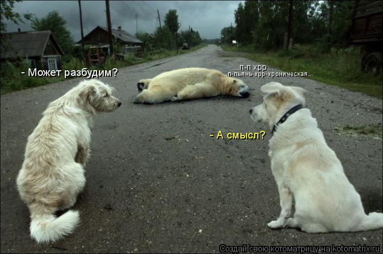...п-п хрр... ...п-пьянь хрр-хроническая... - Может разбудим? - А смысл?... Котоматрица: ...п-п хрр... ...п-пьянь хрр-хроническая... - Может разбудим? - А смысл?