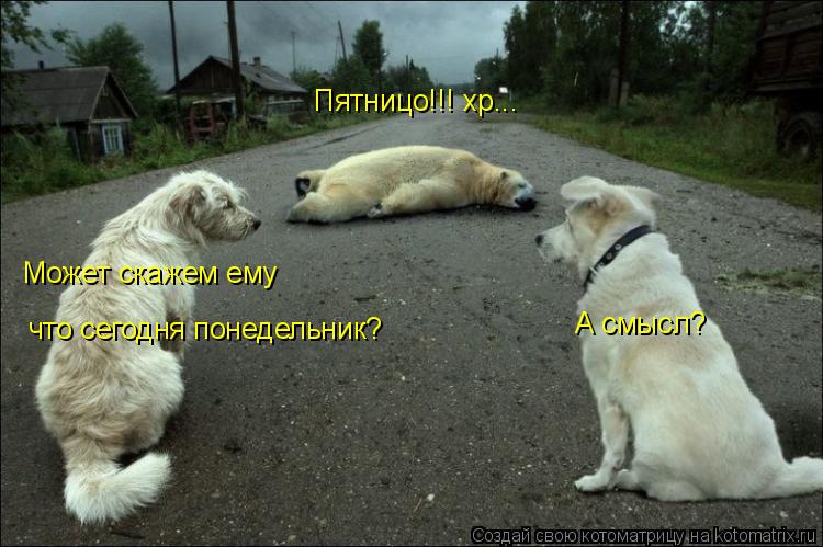 Пятницо!!! хр... Может скажем ему что сегодня понедельник? А смысл?... Котоматрица: Пятницо!!! хр... Может скажем ему что сегодня понедельник? А смысл?