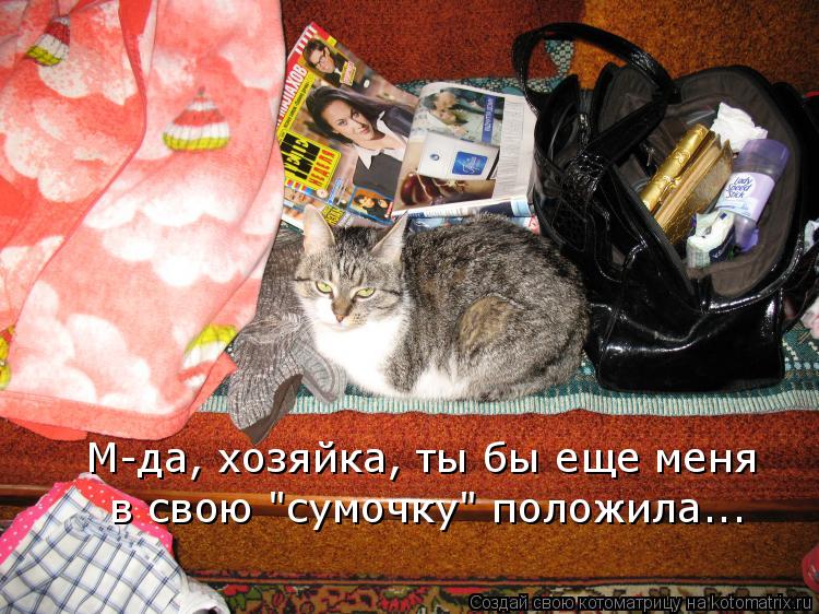 М-да, хозяйка, ты бы еще меня в свою "сумочку" положила...... Котоматрица: М-да, хозяйка, ты бы еще меня в свою "сумочку" положила...