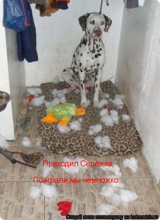 ...Приходил Серёжка, Поиграли мы немножко.... Котоматрица: ...Приходил Серёжка, Поиграли мы немножко.