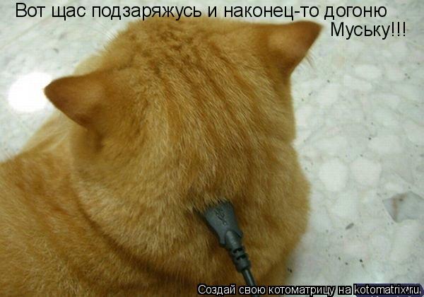 Вот щас подзаряжусь и наконец-то догоню Муську!!!... Котоматрица: Вот щас подзаряжусь и наконец-то догоню Муську!!!