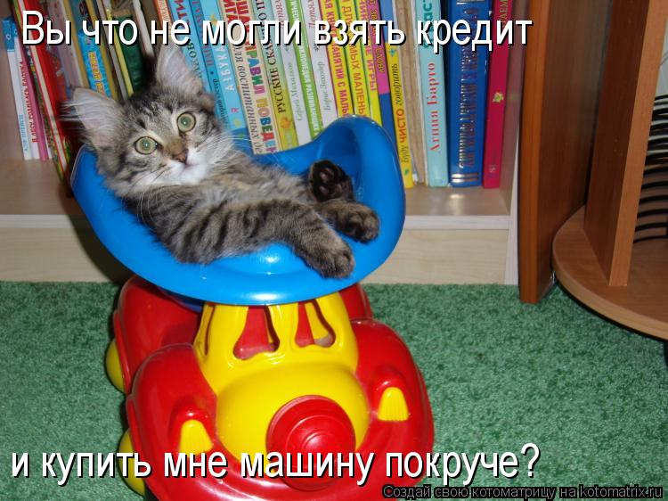 Вы что не могли взять кредит и купить мне машину покруче?... Котоматрица: Вы что не могли взять кредит и купить мне машину покруче?