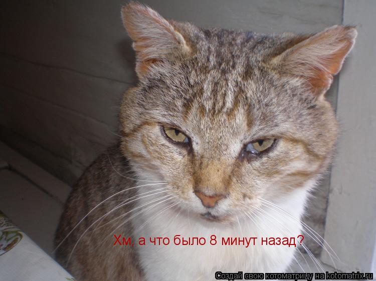 Хм, а что было 8 минут назад?... Котоматрица: Хм, а что было 8 минут назад?