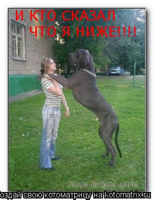 И КТО СКАЗАЛ ЧТО Я НИЖЕ!!!!... Котоматрица: И КТО СКАЗАЛ ЧТО Я НИЖЕ!!!!