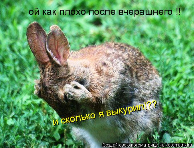 ой как плохо после вчерашней !! и сколько я выкурил!?? ой как плохо после вчерашнего !! и сколько я ... Котоматрица: ой как плохо после вчерашней !! и сколько я выкурил!?? ой как плохо после вчерашнего !! и сколько я выкурил!??