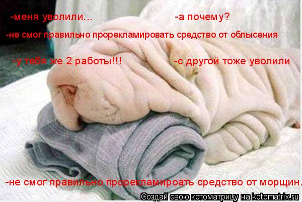 -меня уволили... -а почему? -не смог правильно прорекламировать средство от... Котоматрица: -меня уволили... -а почему? -не смог правильно прорекламировать средство от облысения - -у тебя же 2 работы!!!