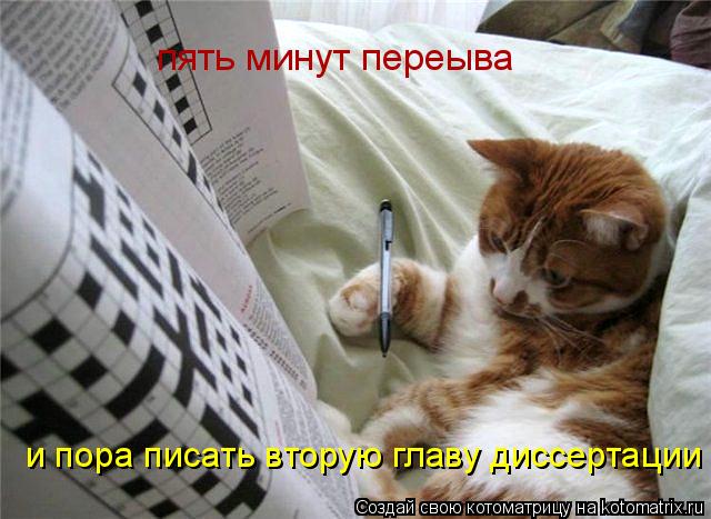 пять минут переыва и пора писать вторую главу диссертации... Котоматрица: пять минут переыва и пора писать вторую главу диссертации