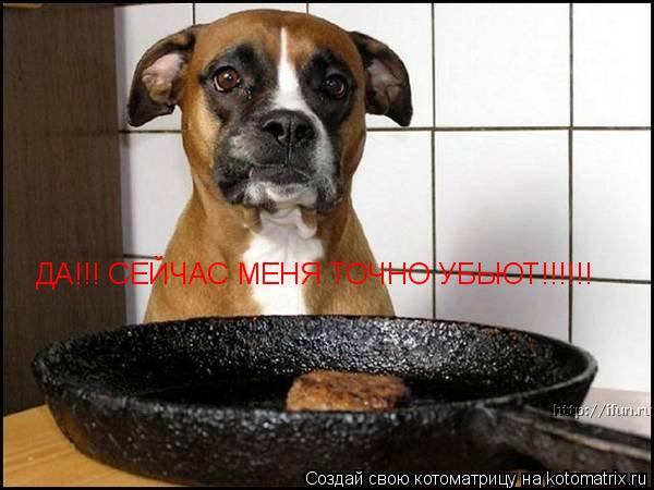 ДА!!! СЕЙЧАС МЕНЯ ТОЧНО УБЬЮТ!!!!!!... Котоматрица: ДА!!! СЕЙЧАС МЕНЯ ТОЧНО УБЬЮТ!!!!!!