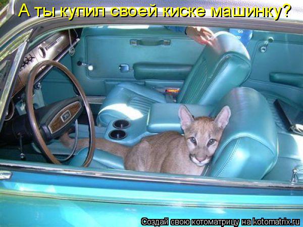 А ты купил своей киске машинку?... Котоматрица: А ты купил своей киске машинку?