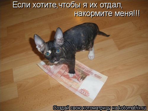 Если хотите,чтобы я их отдал, накормите меня!!!... Котоматрица: Если хотите,чтобы я их отдал, накормите меня!!!
