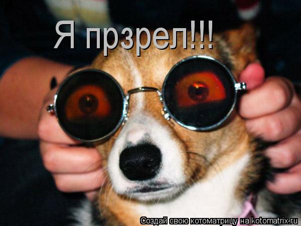 Котоматрица: Я прзрел!!!