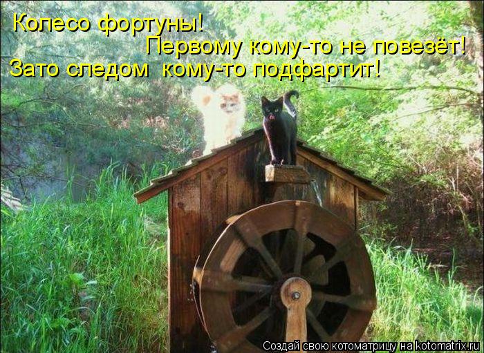 Колесо фортуны! Зато следом кому-то подфартит! Первому кому-то не повезёт!... Котоматрица: Колесо фортуны! Зато следом кому-то подфартит! Первому кому-то не повезёт!