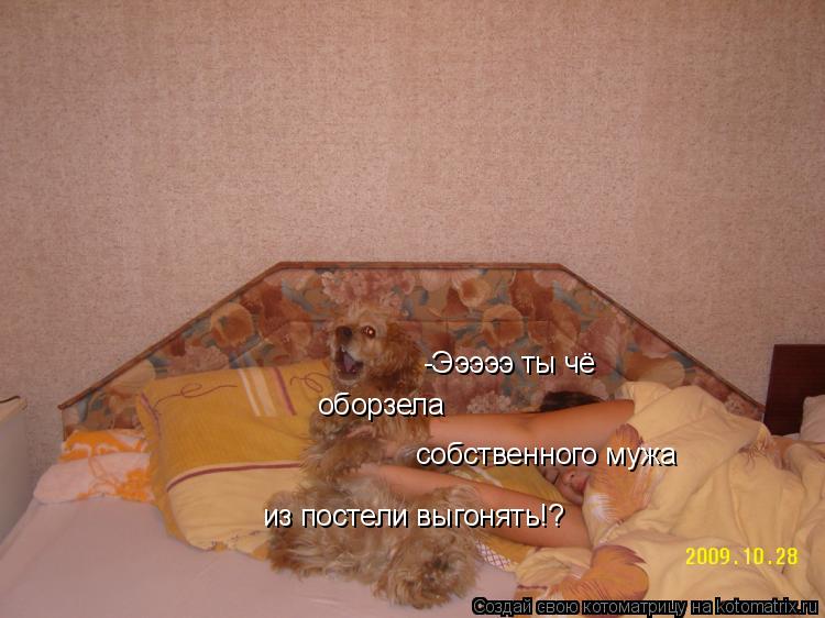 -Эээээ ты чё оборзела собственного мужа из постели выгонять!?... Котоматрица: -Эээээ ты чё оборзела собственного мужа из постели выгонять!?