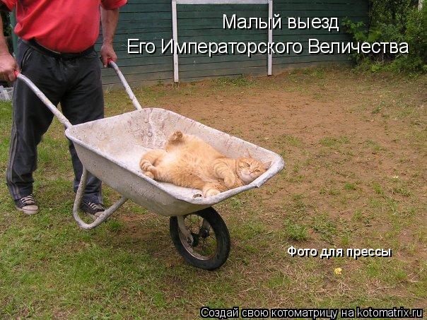 Малый выезд Его Императорского Величества Фото для прессы... Котоматрица: Малый выезд Его Императорского Величества Фото для прессы