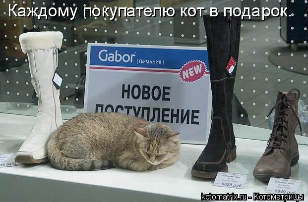 Каждому покупателю кот в подарок.... Котоматрица: Каждому покупателю кот в подарок.