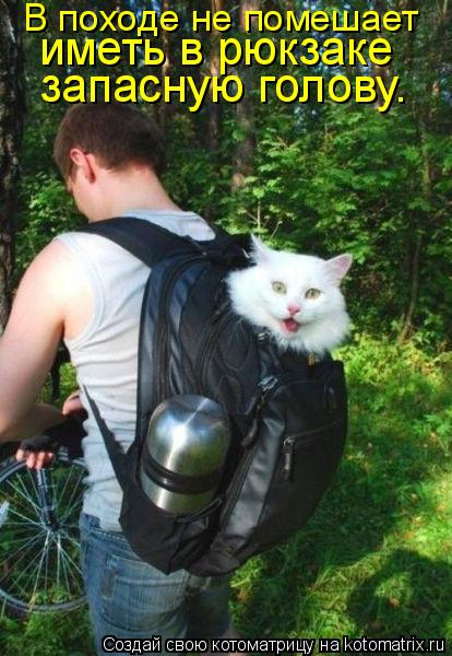 В походе не помешает иметь в рюкзаке запасную голову.... Котоматрица: В походе не помешает иметь в рюкзаке запасную голову.
