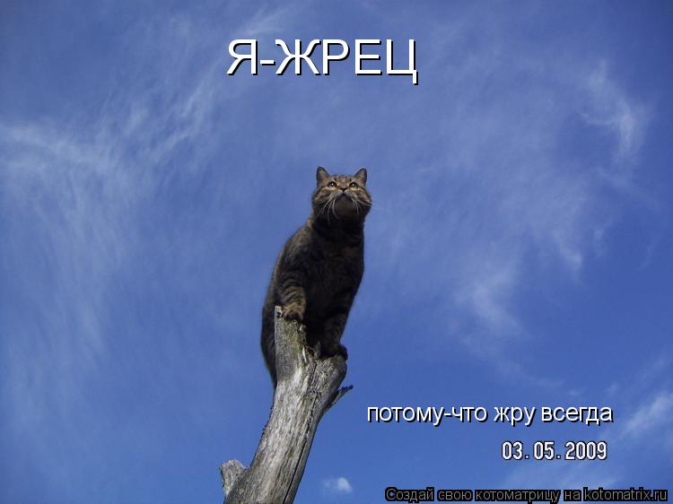 Я-ЖРЕЦ потому-что жру всегда... Котоматрица: Я-ЖРЕЦ потому-что жру всегда