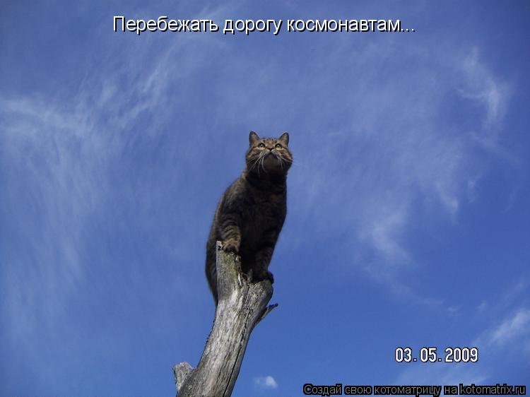 Котоматрица: Перебежать дорогу космонавтам...