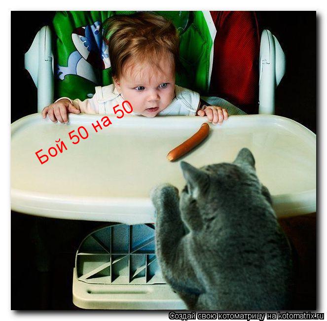 Котоматрица: Бой 50 на 50