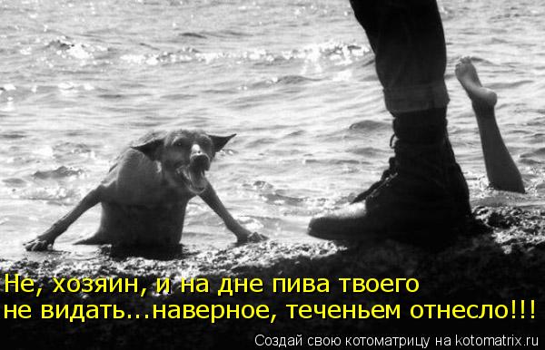 не видать...наверное, теченьем отнесло!!! Не, хозяин, и на дне пива твоего... Котоматрица: не видать...наверное, теченьем отнесло!!! Не, хозяин, и на дне пива твоего