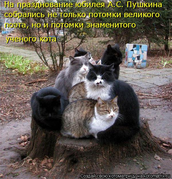 На празднование юбилея А.С. Пушкина собрались не только потомки великого поэта, но и потомки знамени... Котоматрица: На празднование юбилея А.С. Пушкина собрались не только потомки великого поэта, но и потомки знаменитого ученого кота