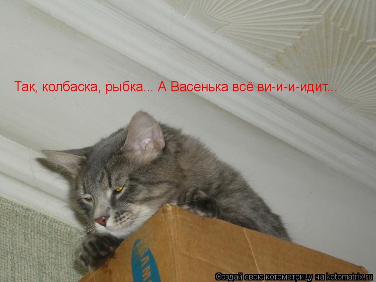 Котоматрица: Так, колбаска, рыбка... А Васенька всё ви-и-и-идит... Так, колбаска, рыбка... А Васенька всё ви-и-и-идит...