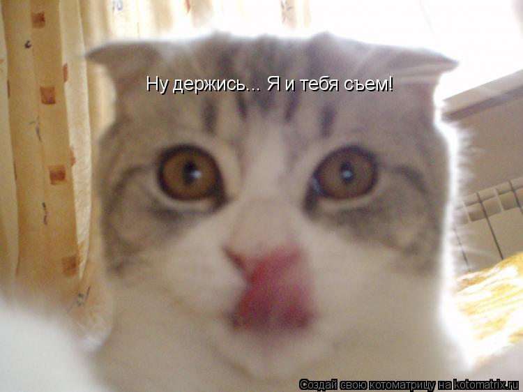 Ну держись... Я и тебя съем!... Котоматрица: Ну держись... Я и тебя съем!