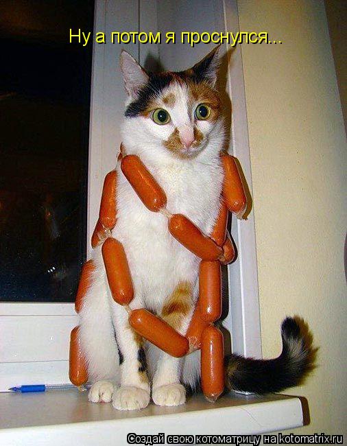 Ну а потом я проснулся...... Котоматрица: Ну а потом я проснулся...