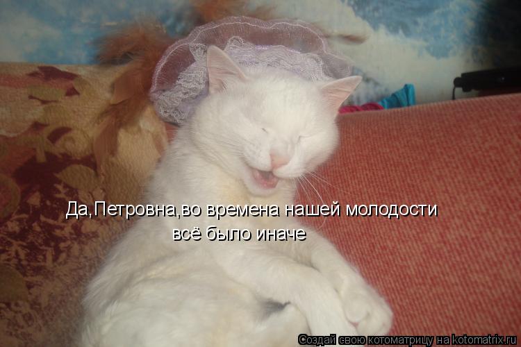 Да,Петровна,во времена нашей молодости всё было иначе... Котоматрица: Да,Петровна,во времена нашей молодости всё было иначе