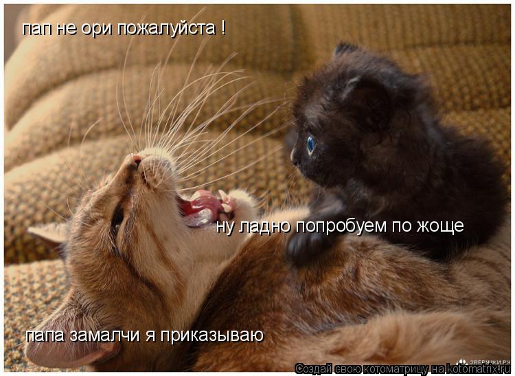 пап не ори пожалуйста ! ну ладно попробуем по жоще папа замалчи я приказываю... Котоматрица: пап не ори пожалуйста ! ну ладно попробуем по жоще папа замалчи я приказываю