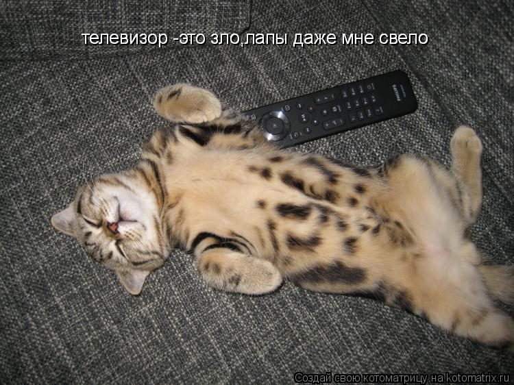 телевизор -это зло,лапы даже мне свело телевизор -это зло,лапы даже мне свело... Котоматрица: телевизор -это зло,лапы даже мне свело телевизор -это зло,лапы даже мне свело