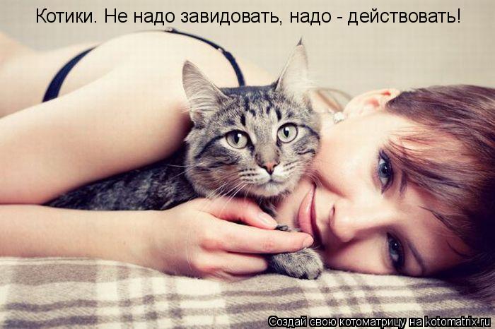 Котики. Не надо завидовать, надо - действовать!... Котоматрица: Котики. Не надо завидовать, надо - действовать!