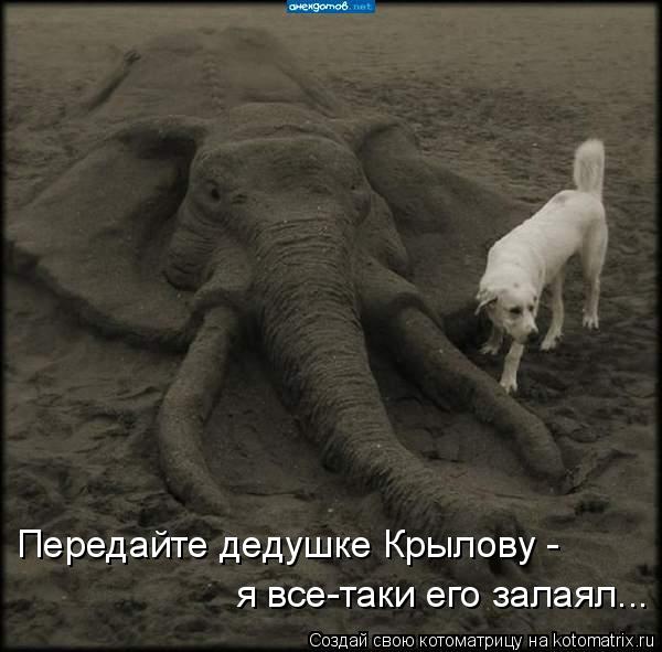 Передайте дедушке Крылову - я все-таки его залаял...... Котоматрица: Передайте дедушке Крылову - я все-таки его залаял...