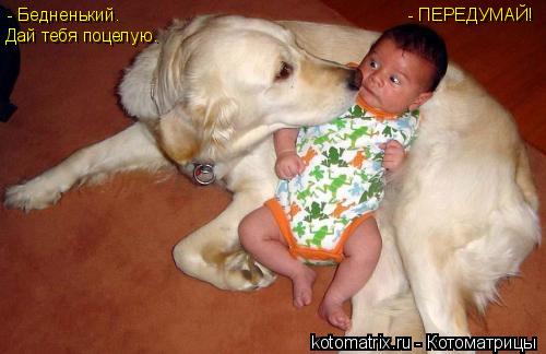 - Бедненький. Дай тебя поцелую. - ПЕРЕДУМАЙ!... Котоматрица: - Бедненький. Дай тебя поцелую. - ПЕРЕДУМАЙ!