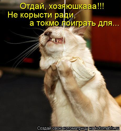 Отдай, хозяюшкааа!!! Не корысти ради, а токмо поиграть для...... Котоматрица: Отдай, хозяюшкааа!!! Не корысти ради, а токмо поиграть для...
