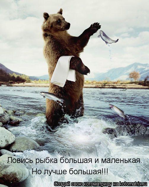 Котоматрица: Ловись рыбка большая и маленькая. Но лучше большая!!!