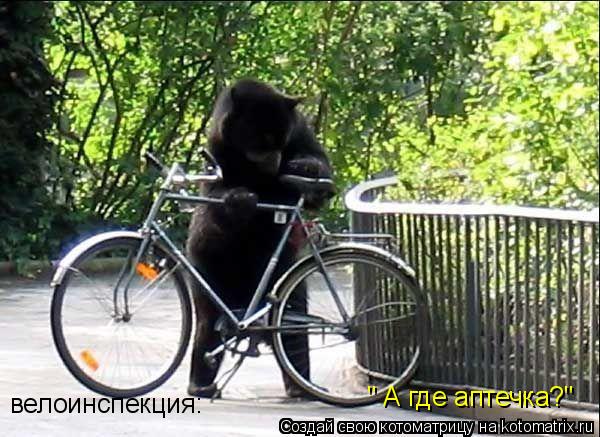 Котоматрица: велоинспекция: " А где аптечка?"