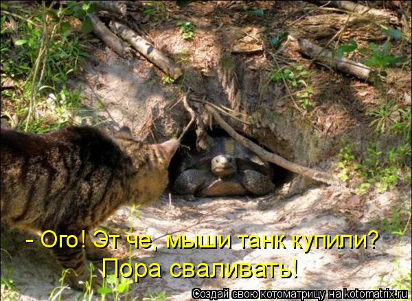 Котоматрица: Пора сваливать! - Ого! Эт че, мыши танк купили?