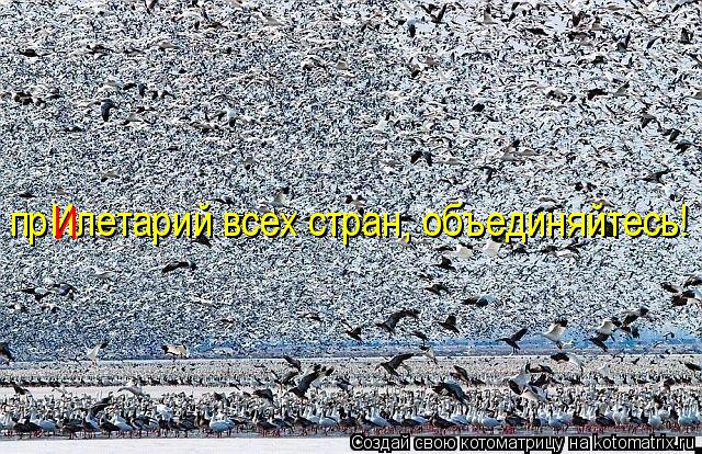 прИлетарий всех стран, объединяйтесь! И... Котоматрица: прИлетарий всех стран, объединяйтесь! И
