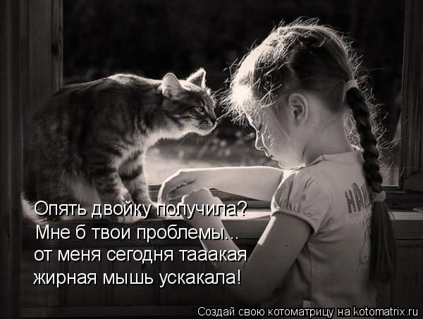 Опять двойку получила? Мне б твои проблемы... от меня сегодня тааакая жирная мышь ускакала!... Котоматрица: Опять двойку получила? Мне б твои проблемы... от меня сегодня тааакая жирная мышь ускакала!
