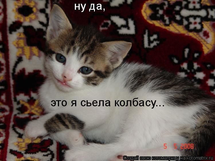 Котоматрица: ну да, это я сьела колбасу...