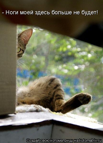 - Ноги моей здесь больше не будет!... Котоматрица: - Ноги моей здесь больше не будет!